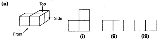 NCERT Solutions for Class 8 Maths Chapter 10 Visualising Solid Shapes 7