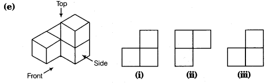 NCERT Solutions for Class 8 Maths Chapter 10 Visualising Solid Shapes 9