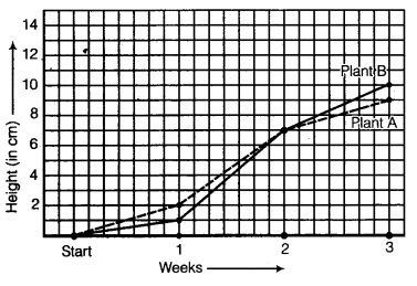 NCERT Solutions for Class 8 Maths Chapter 15 Introduction to Graphs 3