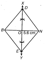 NCERT Solutions for Class 8 Maths Chapter 4 Practical Geometry 12