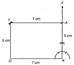 NCERT Solutions for Class 8 Maths Chapter 4 Practical Geometry 20