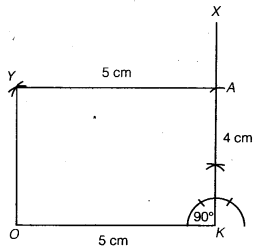 NCERT Solutions for Class 8 Maths Chapter 4 Practical Geometry 29