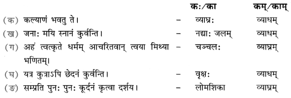 NCERT Solutions for Class 8 Sanskrit Chapter 5 कण्टकेनैव कण्टकम् 2