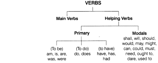 cbse-class-8-english-grammar-verb-1