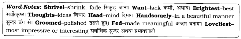 ncert-solutions-class-6-english-wonderful-words-(222-1)