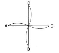 MCQ Questions for Class 7 Maths Chapter 14 Symmetry with Answers 8