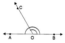 MCQ Questions for Class 7 Maths Chapter 5 Lines and Angles with Answers 6