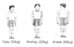 NCERT Solutions for Class 6 English Honeysuckle Chapter 10 The Banyan Tree 5