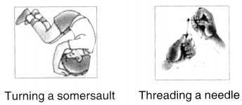 NCERT Solutions for Class 6 English Honeysuckle Chapter 5 A Different Kind of School 2