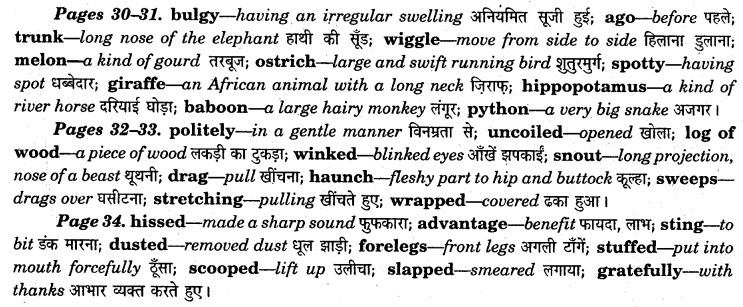 NCERT Solutions for Class 7 English An Alien Hand Chapter 5 Golu Grows a Nose