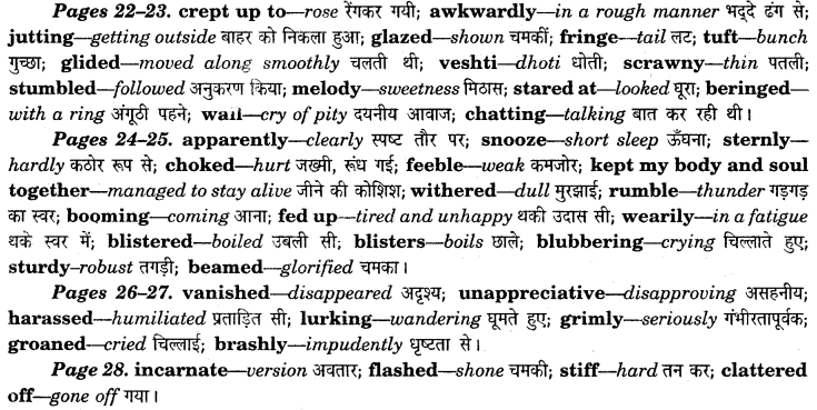 NCERT Solutions for Class 7 English Honeycomb Chapter 2 A Gift of Chappals 3