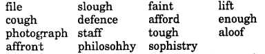 NCERT Solutions for Class 8 English Honeydew Chapter 10 The Great Stone Face 2 .3