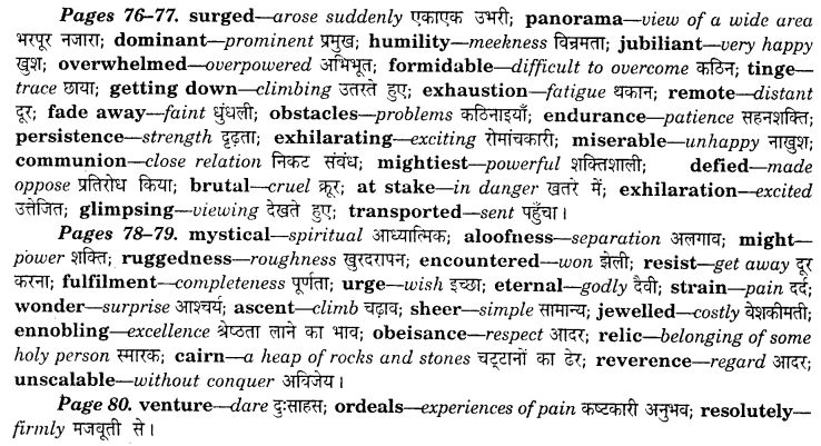 NCERT Solutions for Class 8 English Honeydew Chapter 5 The Summit Within