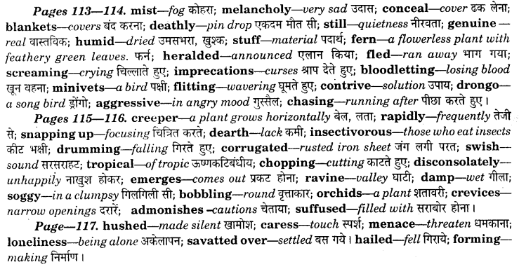 NCERT Solutions for Class 8 English Honeydew Chapter 8 A Short Monsoon Diary 1