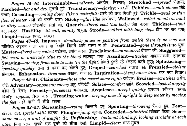 NCERT Solutions for Class 8 English It So Happened Chapter 6 The Fight