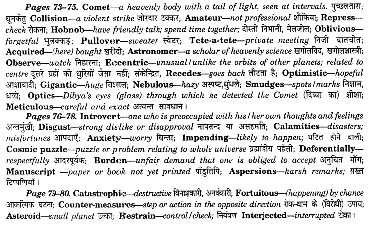 NCERT Solutions for Class 8 English It So Happened Chapter 9 The Comet 1