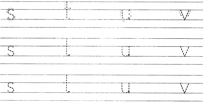 NCERT Solutions for Class 1 English Chapter 11 If I Were an Apple Lets Read and Write Q1