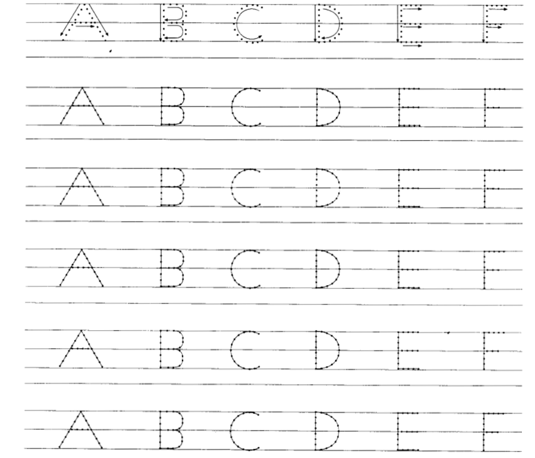 NCERT Solutions for Class 1 English Chapter 16 A Little Turtle Lets Read and Write Q1