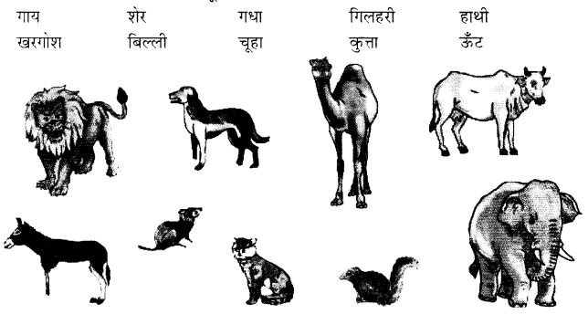 NCERT Solutions for Class 1 Hindi Chapter 9 बंदर और गिलहरी Q5