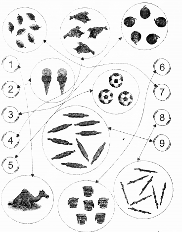 NCERT Solutions for Class 1 Maths Chapter 2 Numbers from One to Nine Page 25 Q5