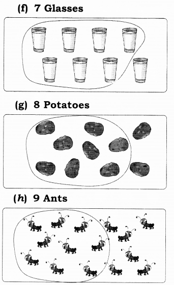 NCERT Solutions for Class 1 Maths Chapter 2 Numbers from One to Nine Page 25 Q6.2