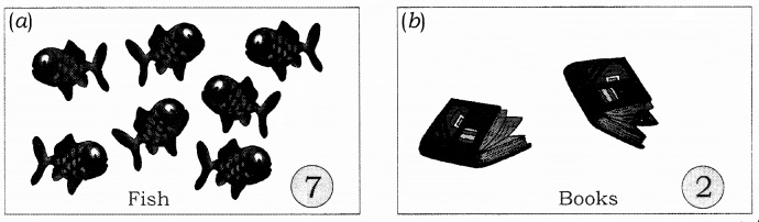 NCERT Solutions for Class 1 Maths Chapter 2 Numbers from One to Nine Page 43 Q1