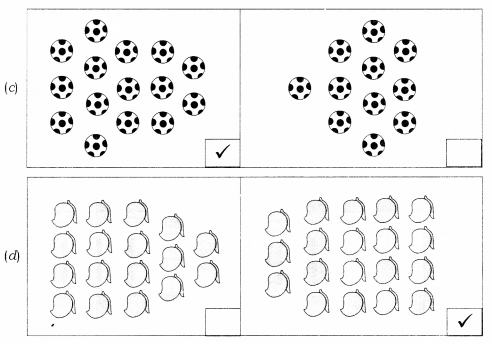 NCERT Solutions for Class 1 Maths Chapter 5 Numbers from Ten to Twenty Page 79 Q2