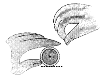 NCERT Solutions for Class 2 Maths Chapter 1 What is Long, What is Round Q5