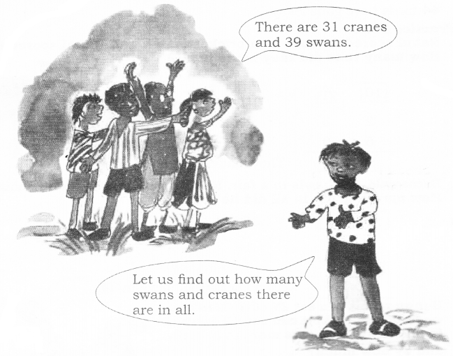 NCERT Solutions for Class 2 Maths Chapter 14 Birds Come, Birds Go Q1