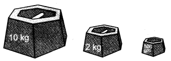 NCERT Solutions for Class 3 Mathematics Chapter-8 Who is Heavier Look for Weights and Balances Q3