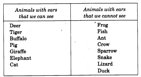NCERT Solutions for Class 4 EVS Chapter 2 Ear To Ear Page 11 Q2