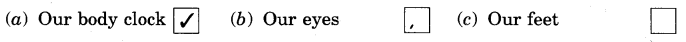 NCERT Solutions for Class 4 English Unit-1 Chapter 2 Nehas Alarm Clock Q3