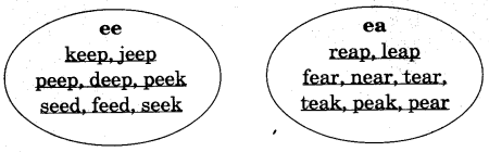 NCERT Solutions for Class 4 English Unit-3 Chapter 5 Run Lets Spell 2