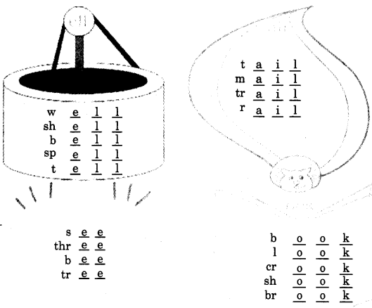 NCERT Solutions for Class 4 English Unit-9 Chapter 17 Lets Write Q1