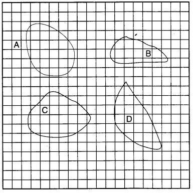 NCERT Solutions for Class 4 Mathematics Unit-13 Fields And Fences Page 153 Q2