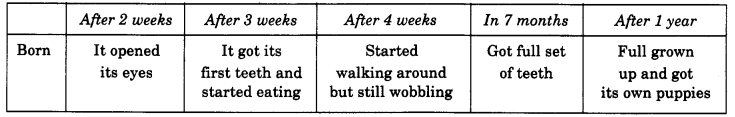 NCERT Solutions for Class 4 Mathematics Unit-4 Tick-Tick-Tick Page 44 Q1