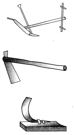 NCERT Solutions for Class 4 पर्यावरण अध्ययन Chapter 14 बसवा का खेत 2