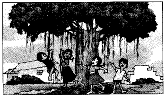 NCERT Solutions for Class 4 पर्यावरण अध्ययन Chapter 19 जड़ों का जाल 6