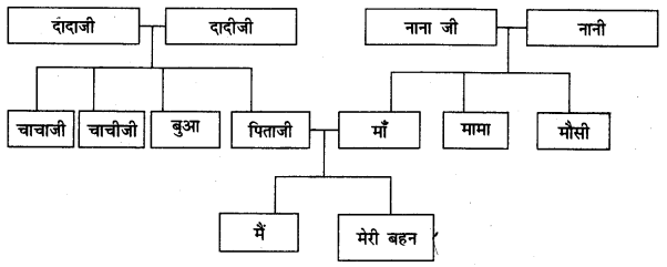 NCERT Solutions for Class 4 पर्यावरण अध्ययन Chapter 9 बदलते परिवार 6