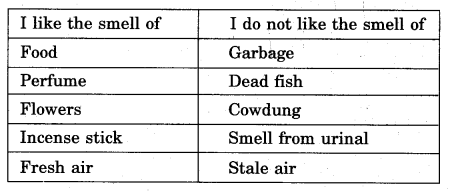 NCERT Solutions for Class 5 EVS Chapter 1 Super Senses Write Q3