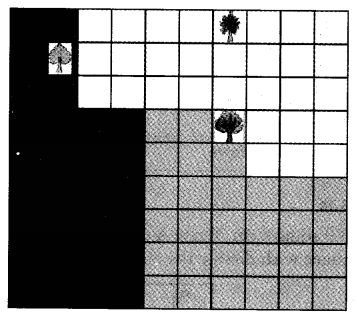 NCERT Solutions for Class 5 Maths Chapter 11 Area and Its Boundary Page 152 Q2