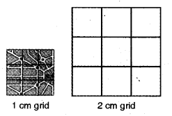 NCERT Solutions for Class 5 Maths Chapter 8 Mapping Your Way Page 120 Q1