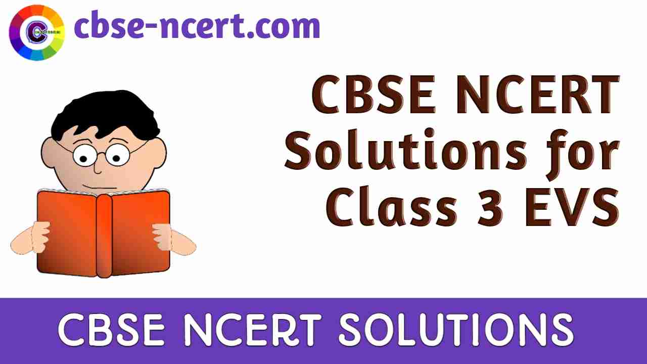 Cbse | Syllabus | Ncert | Solutions | Class 3 EVS Cbse | Syllabus | Ncert | Solutions | Class 3 EVS