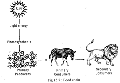 Class 11 Geography Important Questions Chapter 15 Life on the Earth im-1