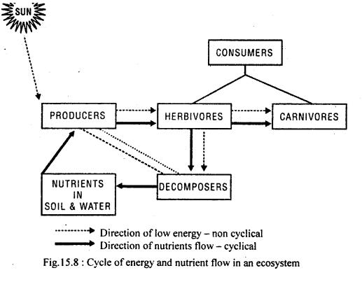 Class 11 Geography Important Questions Chapter 15 Life on the Earth im-2