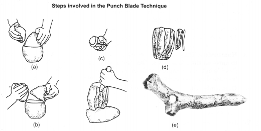 NCERT Solutions for Class 11 History Chapter 1 From the Beginning of Time LAQ Q2.1