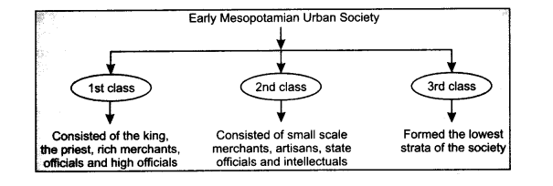 NCERT Solutions for Class 11 History Chapter 2 Writing and City Life LAQ Q3