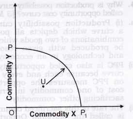 NCERT Solutions for Class 12 Micro Economics Introduction to Economics VBQs Q14