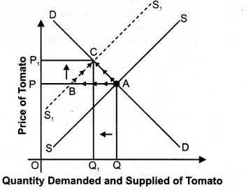 NCERT Solutions for Class 12 Micro Economics Market Equilibrium with Simple Applications VBQs Q7