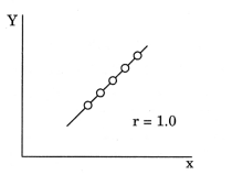 Practical Work in Geography Class 12 Solutions Chapter 2 Data Processing Activity Q2.1